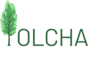 Ośrodek Psychoterapii i Terapii Uzależnień „Olcha” — logo