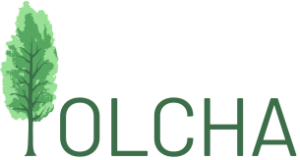 Ośrodek Psychoterapii i Terapii Uzależnień "Olcha" - logo