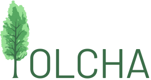 Ośrodek Psychoterapii i Terapii Uzależnień "Olcha"